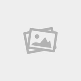 BRINCO TREVO VAZADO CRAVEJADO