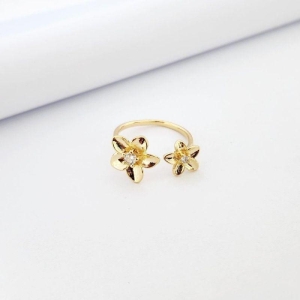 ANEL 2 FLORES REGULAVEL