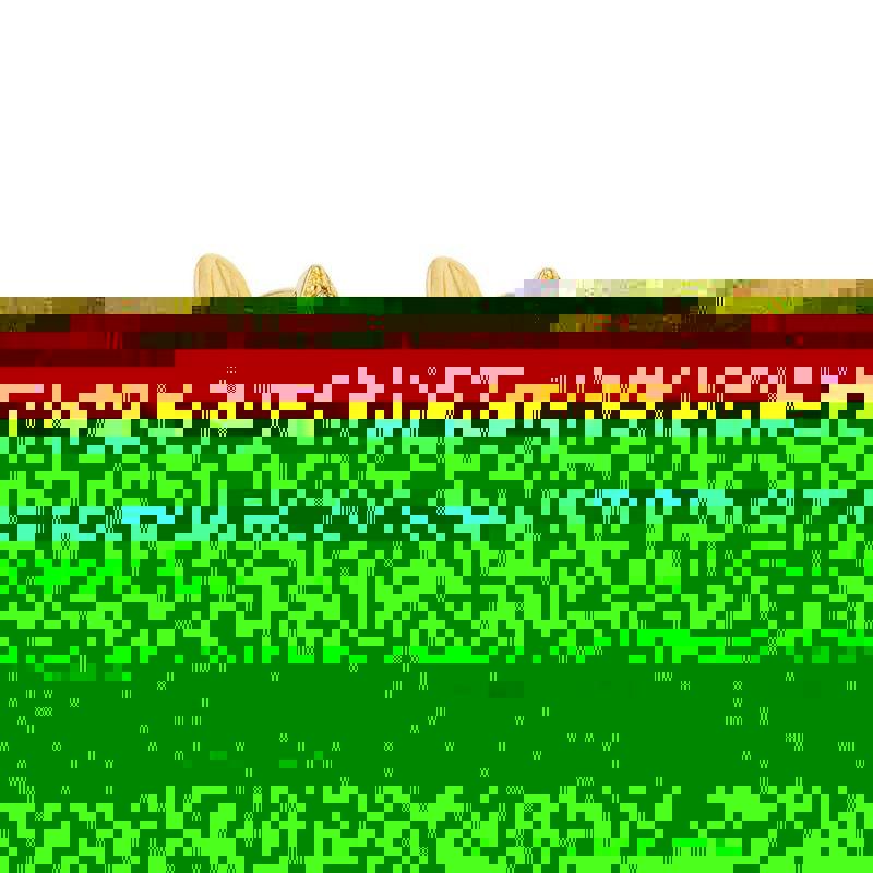 BRINCO CORAÇAO CRAVEJADO